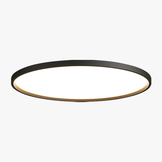 Modern Flat Round Flush Mount Ceiling Light Fixture