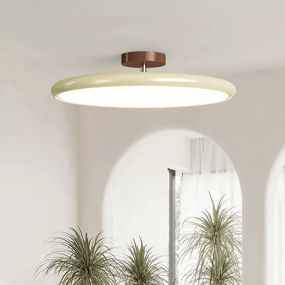 Adjustable Modern Ceiling Light Fixture for Versatile Home Illumination