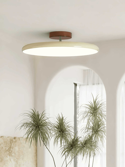 Adjustable Modern Ceiling Light Fixture for Versatile Home Illumination