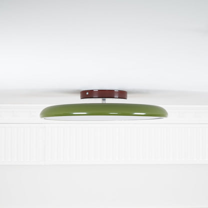 Adjustable Modern Ceiling Light Fixture for Versatile Home Illumination