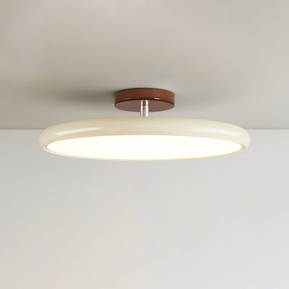Adjustable Modern Ceiling Light Fixture for Versatile Home Illumination